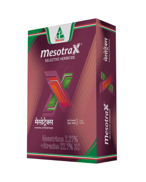 Mesotrax