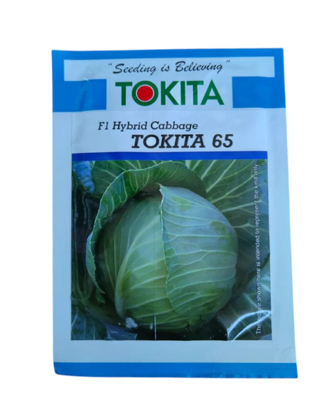 Tokita 65 F1 Cabbage