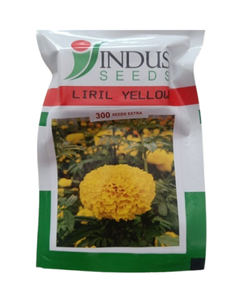 Liril Yellow Marigold