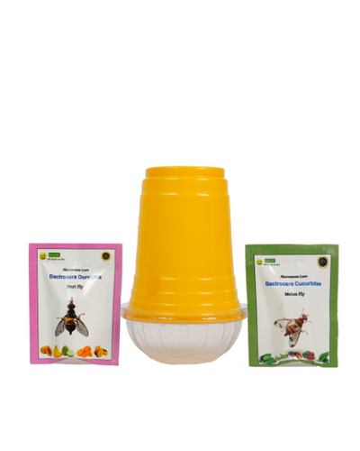 WAVAR FRUIT FLY TRAP DORSALIS LURE