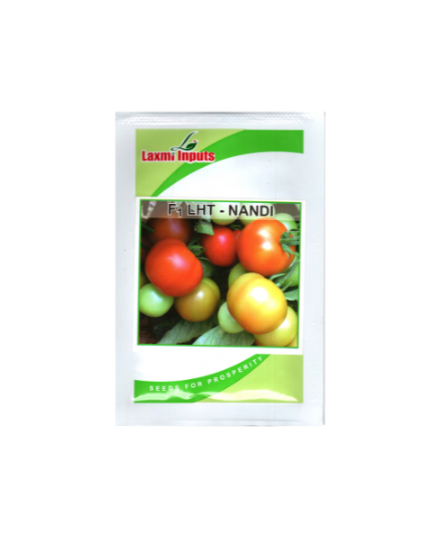 Nandi f1 LHT Tomato seeds