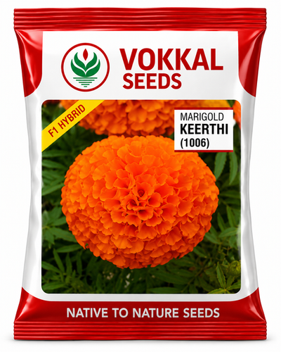 Buy Best Seeds Online | Upto 50% Off & More