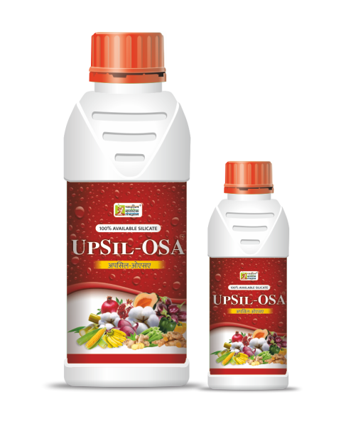 UPSIL OSA