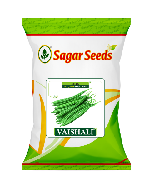 Sagar Vaishali F1 Ridge gourd