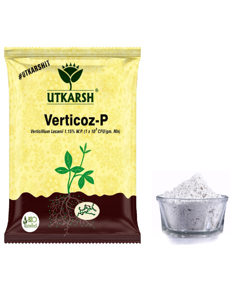 UTKARSH VERTICOZ-P