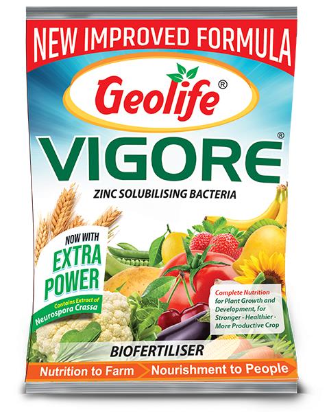 GEOLIFE VIGORE