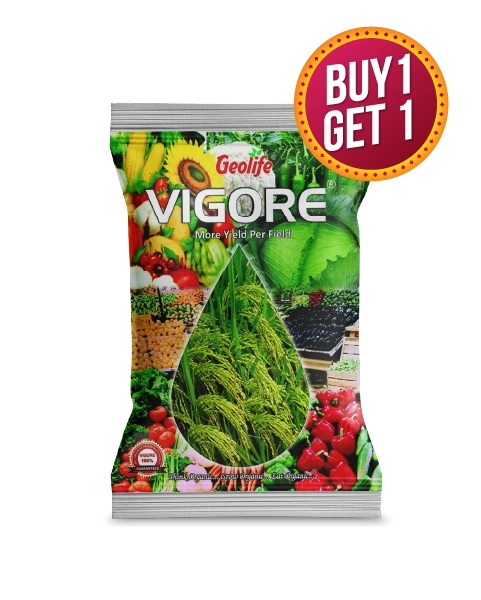 GEOLIFE VIGORE - Buy 1 Get 1 Free