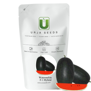 URJA US-20011 - WATERMELON F-1 HYBRID SEEDS