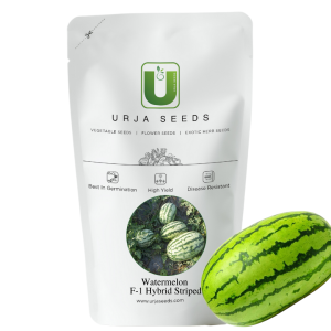 URJA US-777 - WATERMELON F-1 HYBRID SEEDS