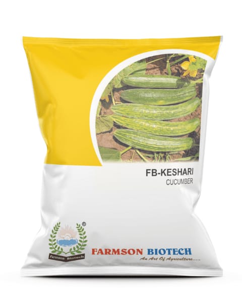 FB-KESHARI CUCUMBER SEEDS