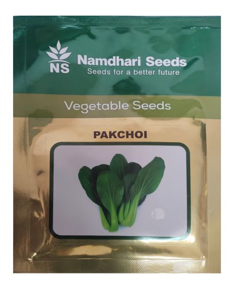 PAK CHOI NS 10003 KGP