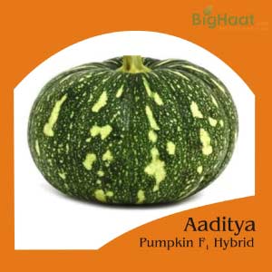 AADITYA PUMPKIN SEEDS...