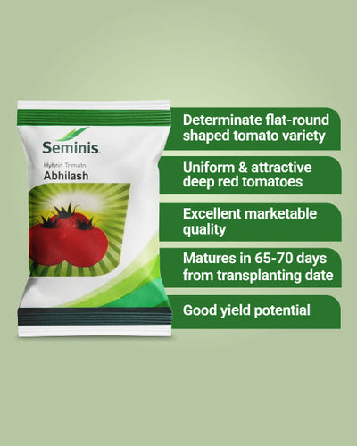 Abhilash Tomato Seeds
