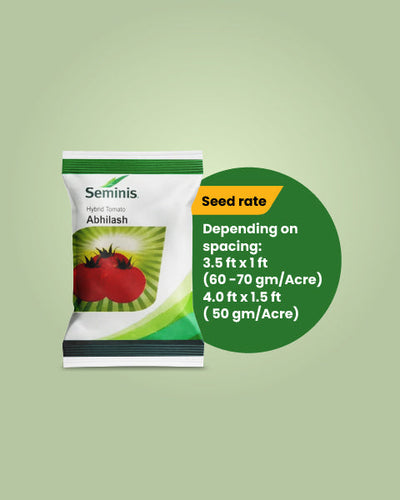 Abhilash Tomato Seeds
