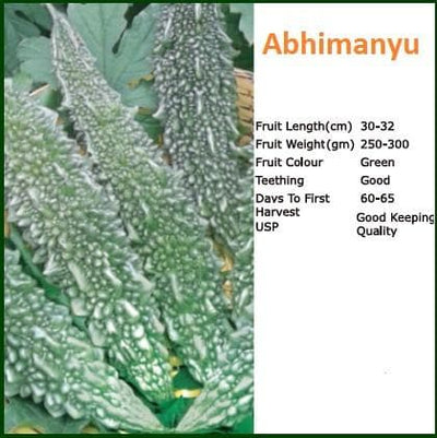 ABHIMANYU BITTER GOURD SEEDS (अभिमन्यु करेला)