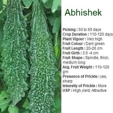 ABHISHEK BITTER GOURD SEEDS