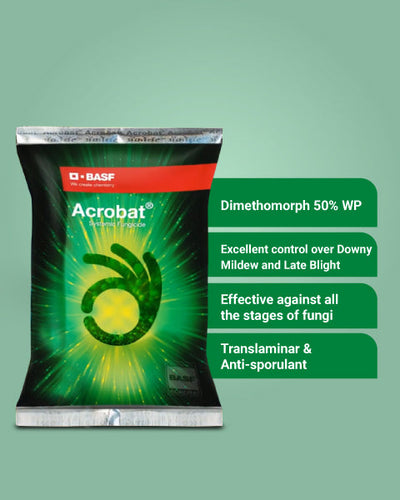 Acrobat Fungicide