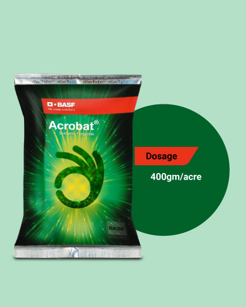 Acrobat Fungicide