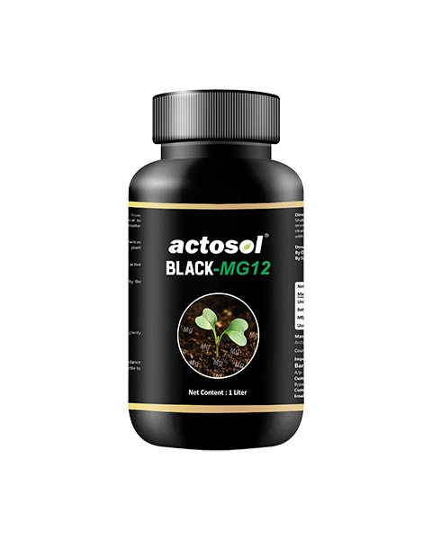 ACTOSOL BLACK-MG12