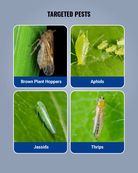 Admire Insecticide