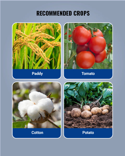Admire Insecticide
