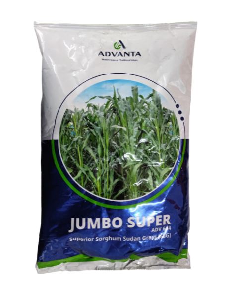 JUMBO SUPER SEEDS