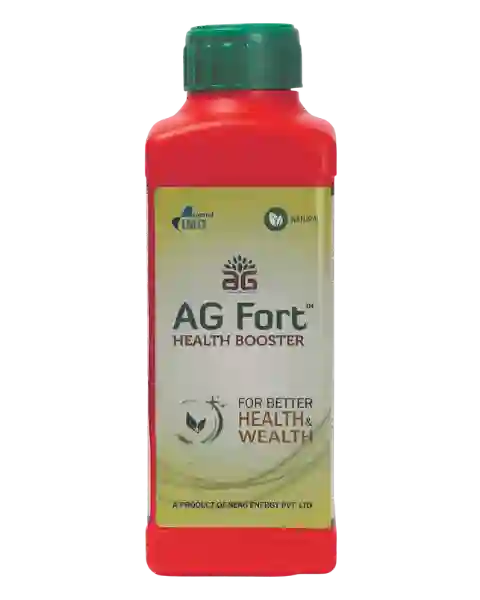 SEA6 ENERGY AG FORT - HEALTH BOOSTER