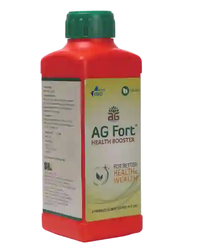 SEA6 ENERGY AG FORT - HEALTH BOOSTER