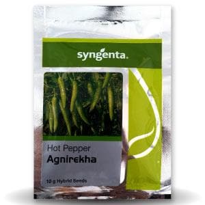 AGNIREKHA CHILLI (अग्निरेखा मिर्च) - SEEDS