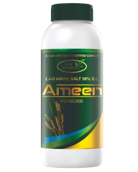 AGRIVENTURE AMEEN