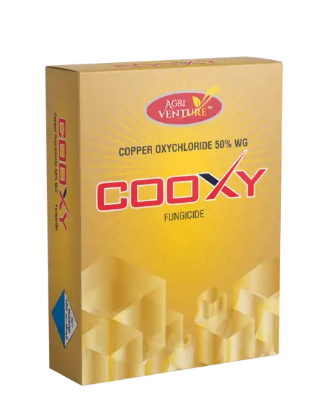 AGRIVENTURE COOXY