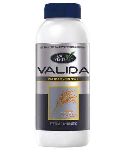 AGRIVENTURE VALIDA