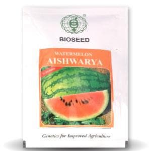 AISHWARYA WATERMELON ( ऐश्वर्या तरबूज ) - SEEDS