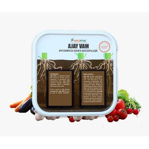 AJAY BIOTECH VAM (MYCORRHIZAL BIOFERTILIZER)