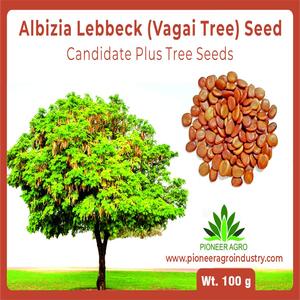 PIONEER AGRO ALBIZIA LEBBECK FRY WOOD (VAGAI SEED)