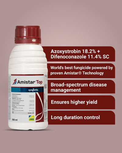 Amistar Top Fungicide