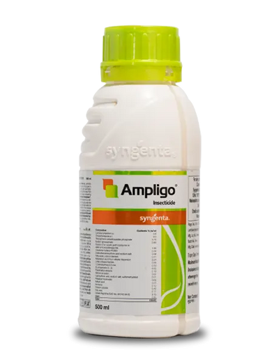 Ampligo Insecticide