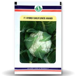 ANANDI CAULIFLOWER SEEDS