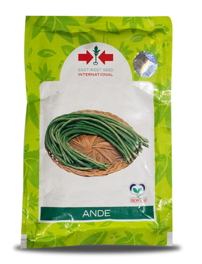 ANDE YARD LONG BEANS