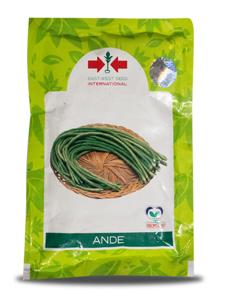 ANDE YARD LONG BEANS