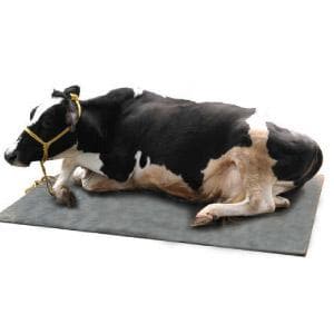 ECOWEALTH RUBBER MAT FOR CATTLES