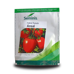 ANSAL TOMATO