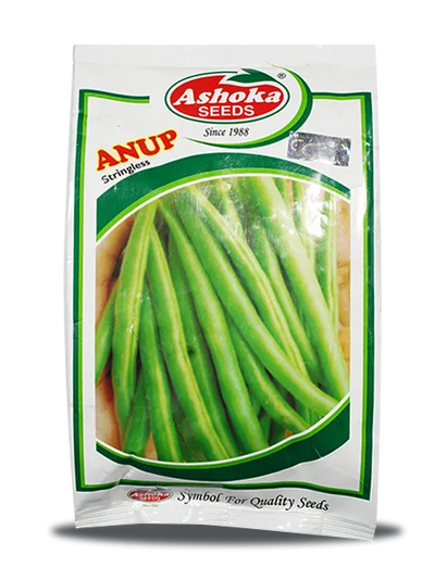 ANUP BEANS (BUSH BEANS)