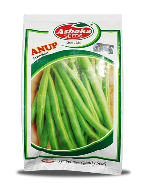 ANUP BEANS (BUSH BEANS)