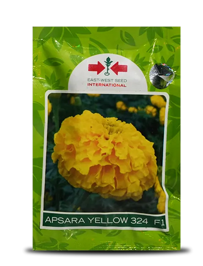 APSARA YELLOW 324 F1 MARIGOLD