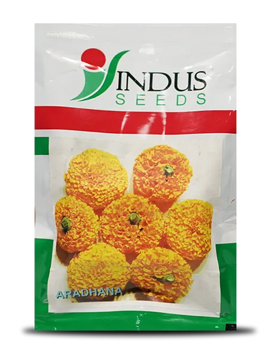 ARADHANA MARIGOLD