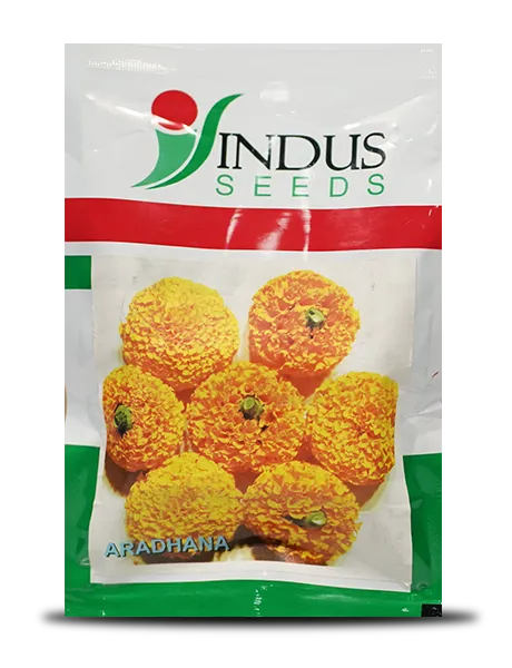 ARADHANA MARIGOLD