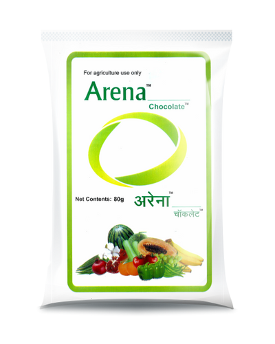 ARENA CHOCOLATE