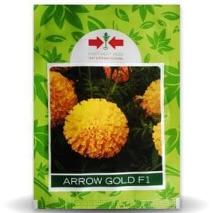 ARROW GOLD MARIGOLD