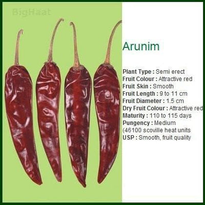 ARUNIM CHILLI (अरुणिम मिर्च )